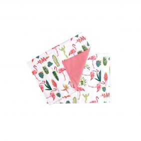 2 tovagliette Flamingo rosa e fenicotteri