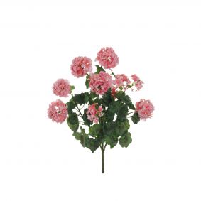 Bush 5 rami geranio rosa