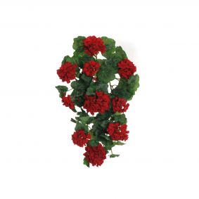 Bush geranio pendente rosso velvet 4 rami