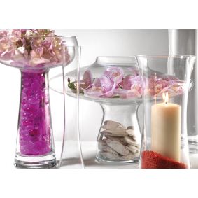 Vaso in vetro trasparente a fungo alto