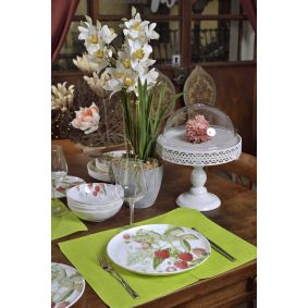 Cymbidium con vaso in ceramica