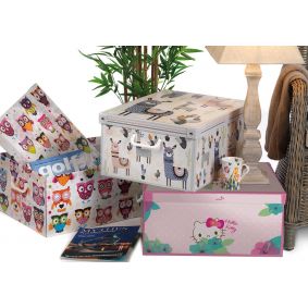 Box armadio Hello Kitty verniciato