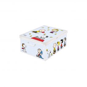 Box armadio Peanuts verniciato