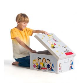 Box armadio Peanuts verniciato