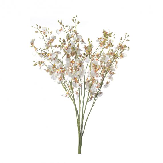 6 rami orchidea avorio