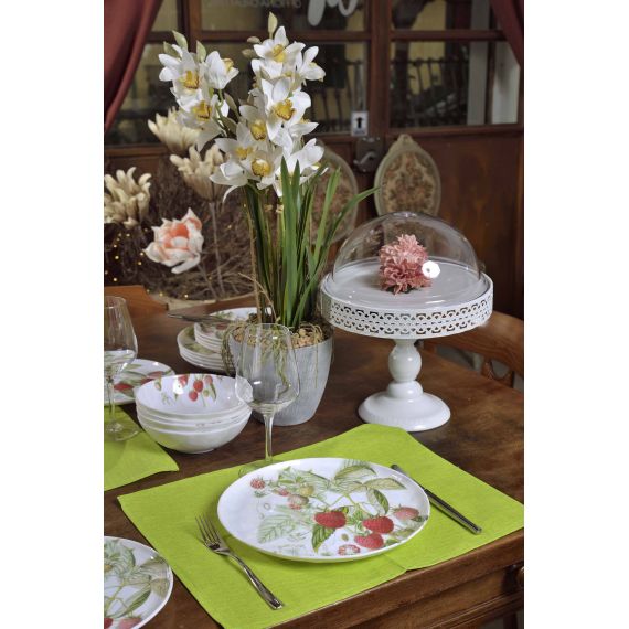 Cymbidium con vaso in ceramica