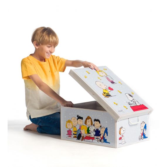 Box armadio Peanuts verniciato