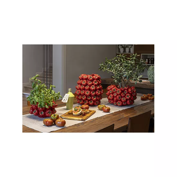 vasi con pomodori rossi